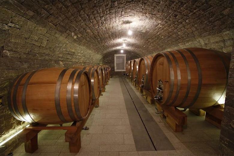 Kmetija Tomazic Vinska Klet - Winery Appartement Vipava Buitenkant foto