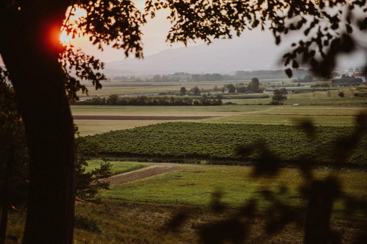 Kmetija Tomazic Vinska Klet - Winery Appartement Vipava Buitenkant foto
