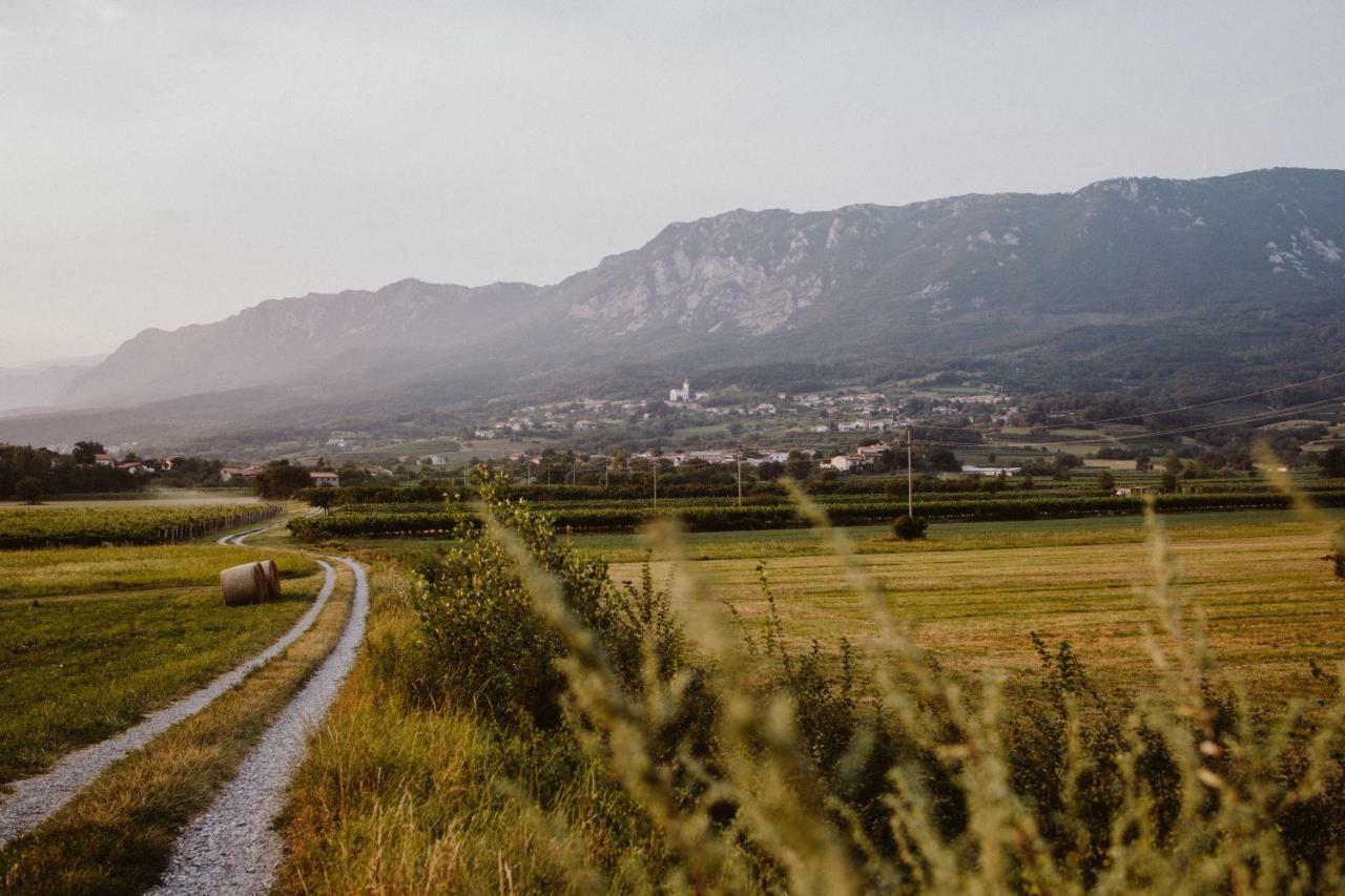 Kmetija Tomazic Vinska Klet - Winery Appartement Vipava Buitenkant foto